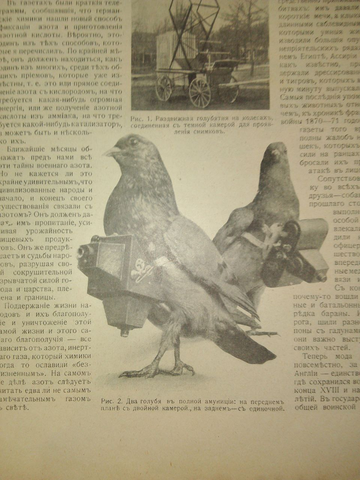 https://upforme.ru/uploads/001b/b2/99/2761/t156511.png