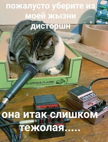 https://upforme.ru/uploads/001b/b2/99/838/t537352.webp
