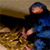 https://upforme.ru/uploads/001b/b8/20/2/t20159.gif