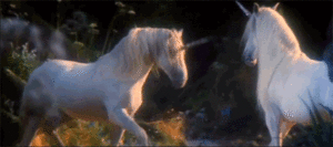https://upforme.ru/uploads/001b/b8/74/173/87427.gif
