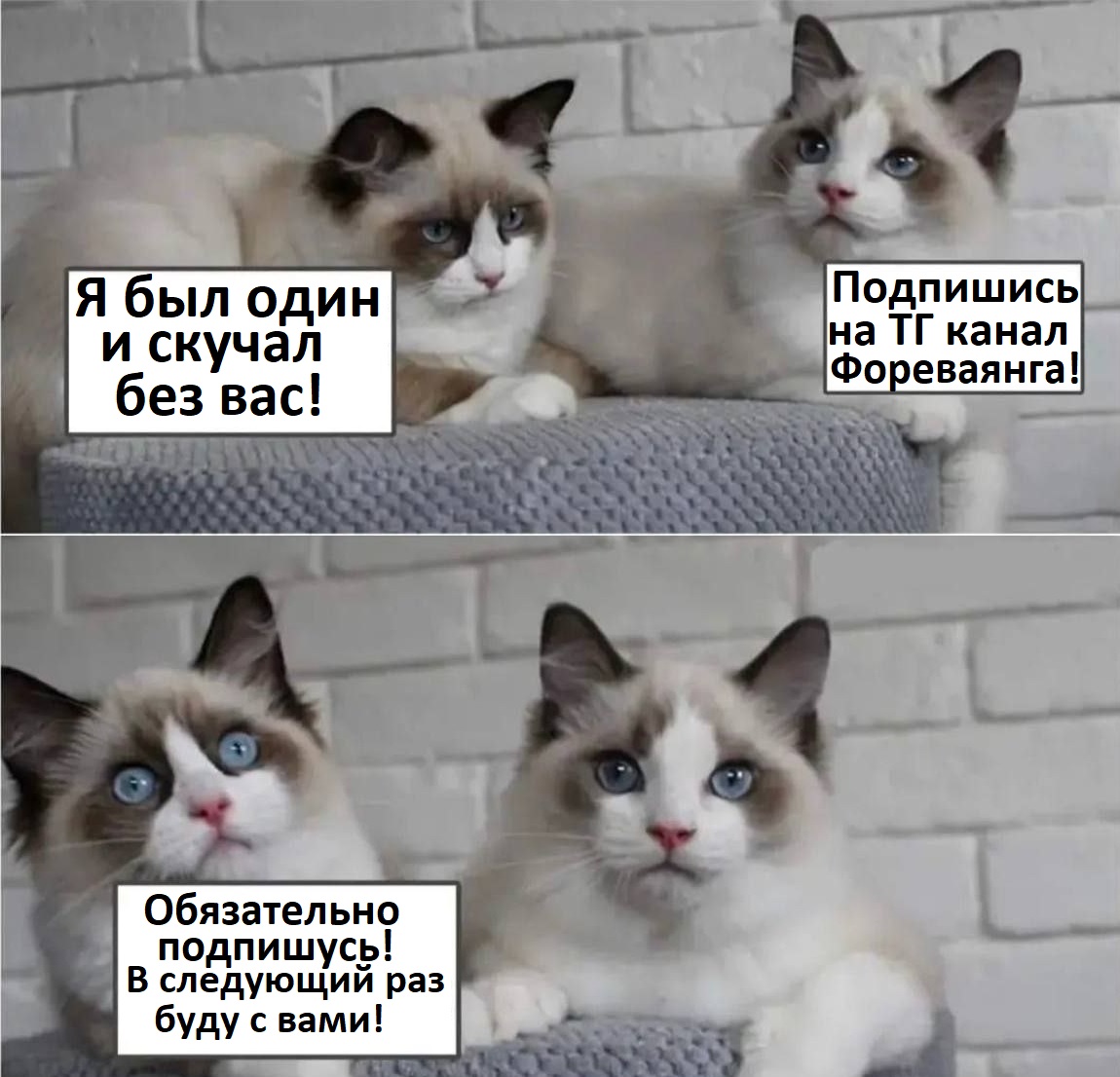 https://upforme.ru/uploads/001b/b8/74/2/351637.jpg