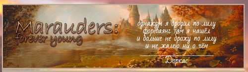 https://upforme.ru/uploads/001b/b8/74/26/541226.jpg