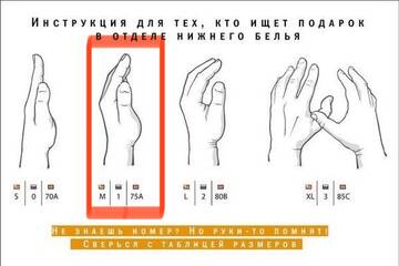 https://upforme.ru/uploads/001b/b8/74/312/t740424.jpg