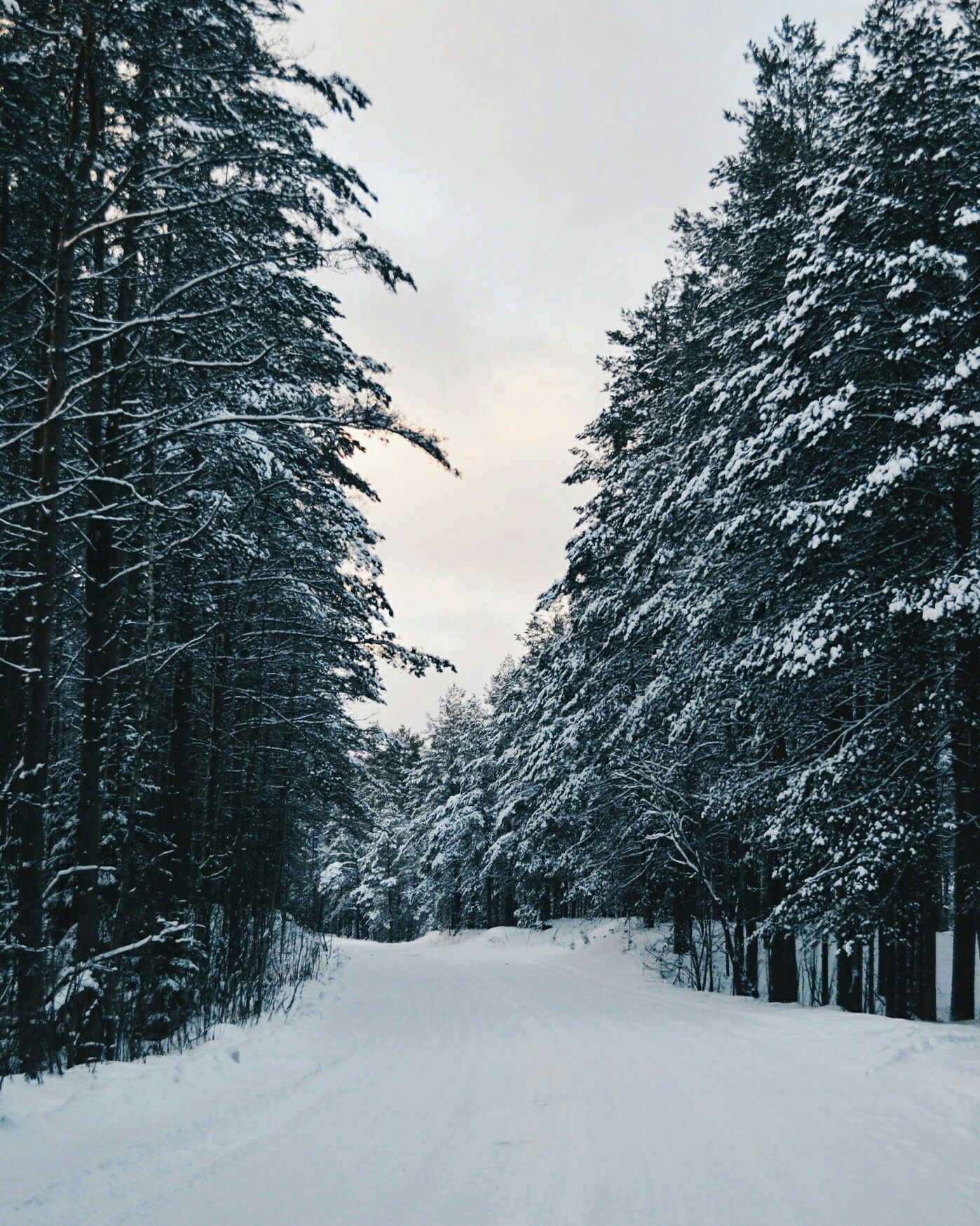 https://upforme.ru/uploads/001b/b8/74/6/706221.jpg
