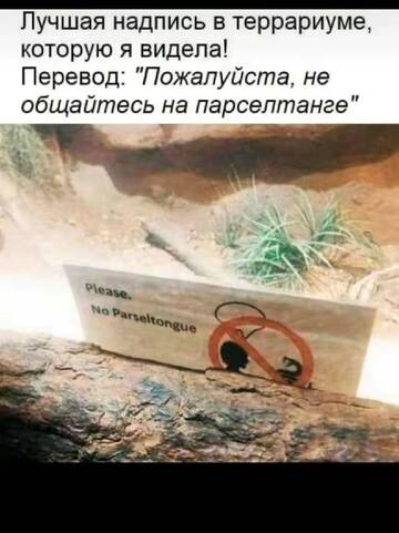 https://upforme.ru/uploads/001b/b8/74/63/t222674.jpg
