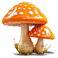 https://upforme.ru/uploads/001b/b8/74/63/t319539.png