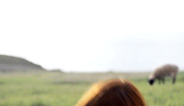 https://upforme.ru/uploads/001b/b9/68/39/775795.gif
