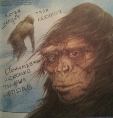 https://upforme.ru/uploads/001b/b9/68/64/69798.jpg