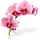 https://upforme.ru/uploads/001b/b9/c5/4/700561.png