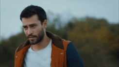 https://upforme.ru/uploads/001b/ba/09/18/t148716.gif