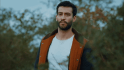https://upforme.ru/uploads/001b/ba/09/18/t619071.gif