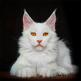 https://upforme.ru/uploads/001b/ba/13/13/t658154.png