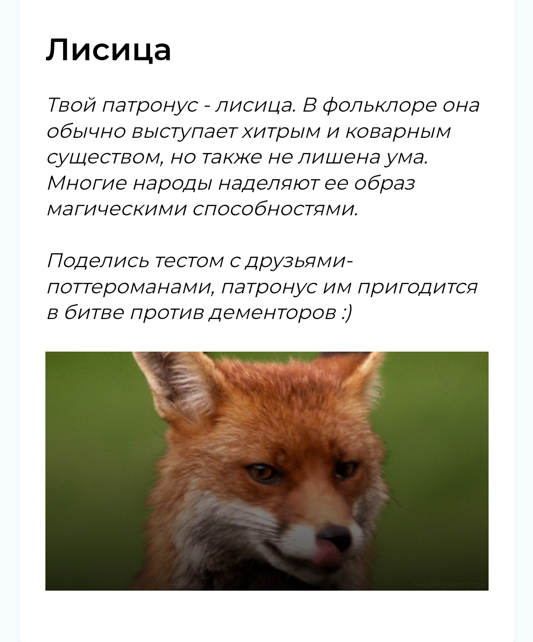 https://upforme.ru/uploads/001b/ba/13/3/411436.jpg