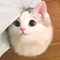 https://upforme.ru/uploads/001b/ba/13/6/196915.png