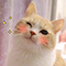 https://upforme.ru/uploads/001b/ba/13/6/835919.png
