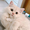 https://upforme.ru/uploads/001b/ba/13/6/971796.png
