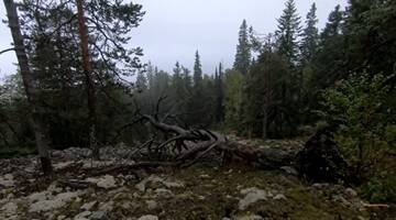 https://upforme.ru/uploads/001b/ba/1d/3/t613001.jpg