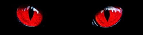https://upforme.ru/uploads/001b/bb/37/2/983403.png