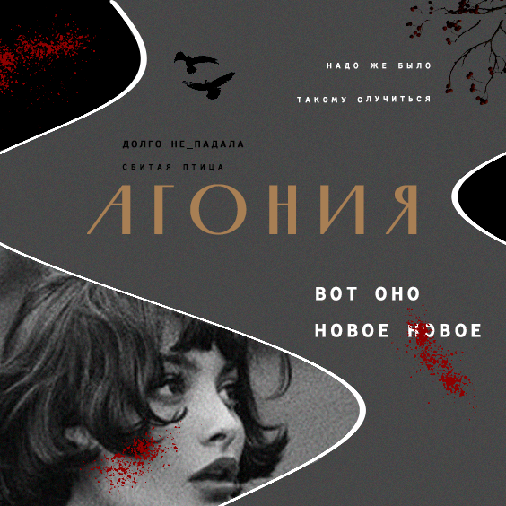 https://upforme.ru/uploads/001b/bb/89/5/22204.png