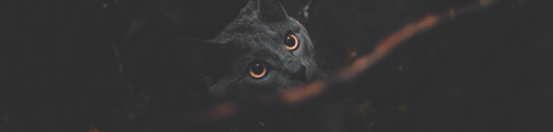 https://upforme.ru/uploads/001b/bd/30/17/388739.png