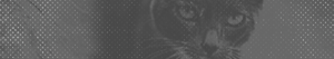 https://upforme.ru/uploads/001b/bd/30/17/849595.png