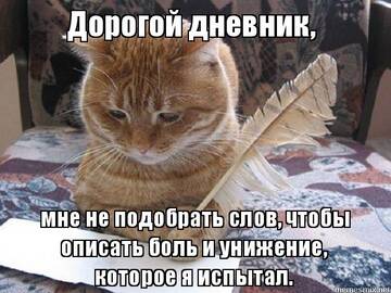 https://upforme.ru/uploads/001b/bd/e6/13/t563043.jpg