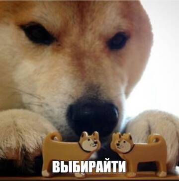 https://upforme.ru/uploads/001b/bd/e6/13/t573461.jpg