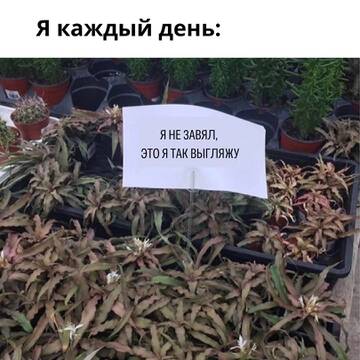 https://upforme.ru/uploads/001b/bd/e6/13/t810657.jpg