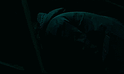 https://upforme.ru/uploads/001b/bd/e6/65/314428.gif