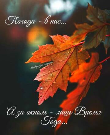 https://upforme.ru/uploads/001b/be/c9/2/t113860.jpg