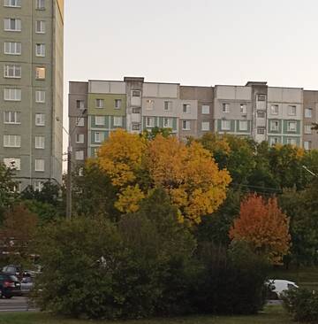 https://upforme.ru/uploads/001b/be/c9/2/t132811.jpg