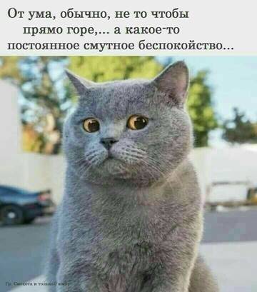 https://upforme.ru/uploads/001b/be/c9/2/t340714.jpg