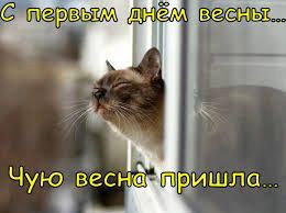 https://upforme.ru/uploads/001b/be/c9/2/t367286.jpg