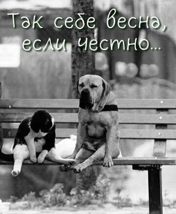 https://upforme.ru/uploads/001b/be/c9/2/t379115.jpg