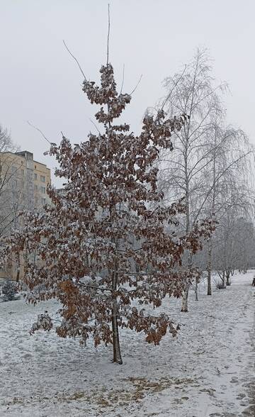 https://upforme.ru/uploads/001b/be/c9/2/t382234.jpg