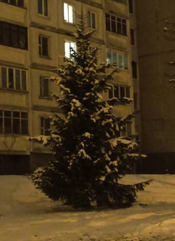 https://upforme.ru/uploads/001b/be/c9/2/t469461.jpg