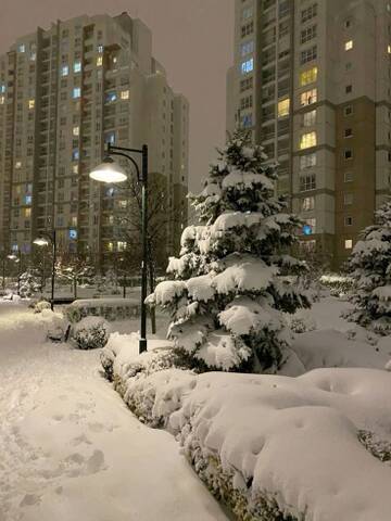 https://upforme.ru/uploads/001b/be/c9/2/t523256.jpg