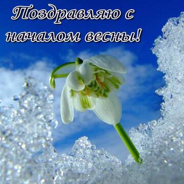 https://upforme.ru/uploads/001b/be/c9/2/t645289.jpg