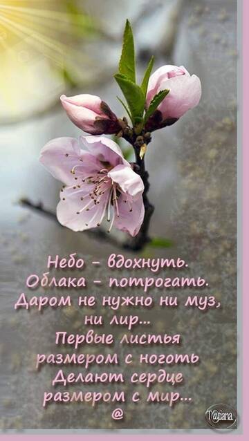 https://upforme.ru/uploads/001b/be/c9/2/t651206.jpg