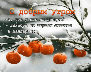 https://upforme.ru/uploads/001b/be/c9/2/t681869.gif