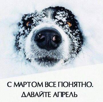 https://upforme.ru/uploads/001b/be/c9/2/t722584.jpg