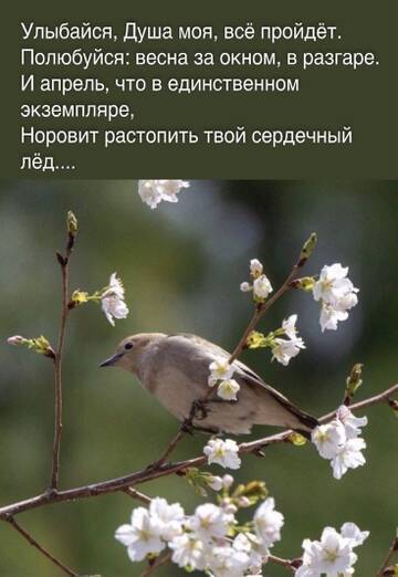 https://upforme.ru/uploads/001b/be/c9/2/t802237.jpg