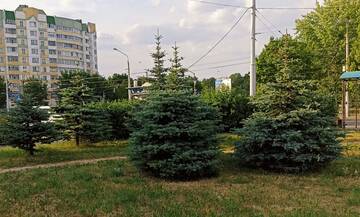 https://upforme.ru/uploads/001b/be/c9/2/t871249.jpg