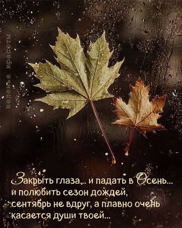 https://upforme.ru/uploads/001b/be/c9/2/t894080.jpg