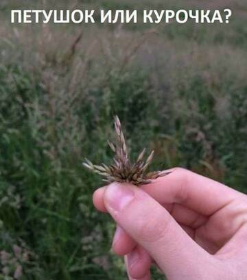 https://upforme.ru/uploads/001b/be/c9/3/t835522.jpg