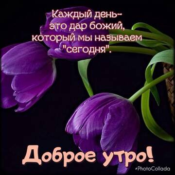 https://upforme.ru/uploads/001b/c5/95/2/t304178.jpg
