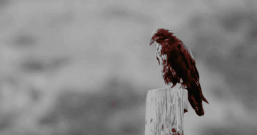 https://upforme.ru/uploads/001b/c6/3f/2/t392420.gif