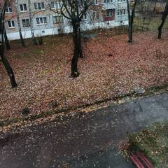 15.11.2023 12:30