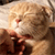 https://upforme.ru/uploads/001b/cb/61/148/18723.gif