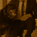 https://upforme.ru/uploads/001b/cc/a0/188/752127.gif